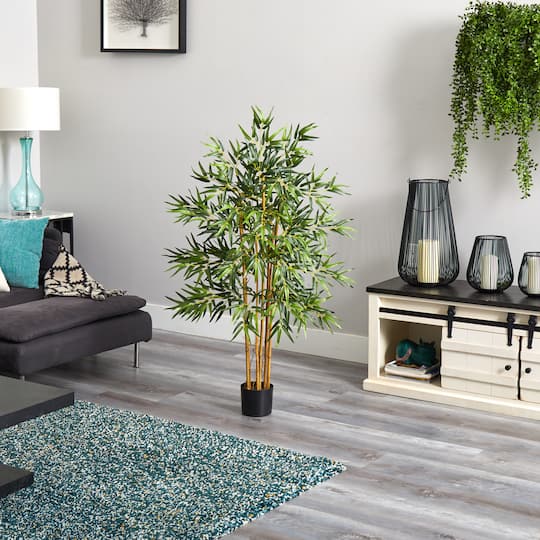 4ft. Potted Bambusa Bamboo Tree